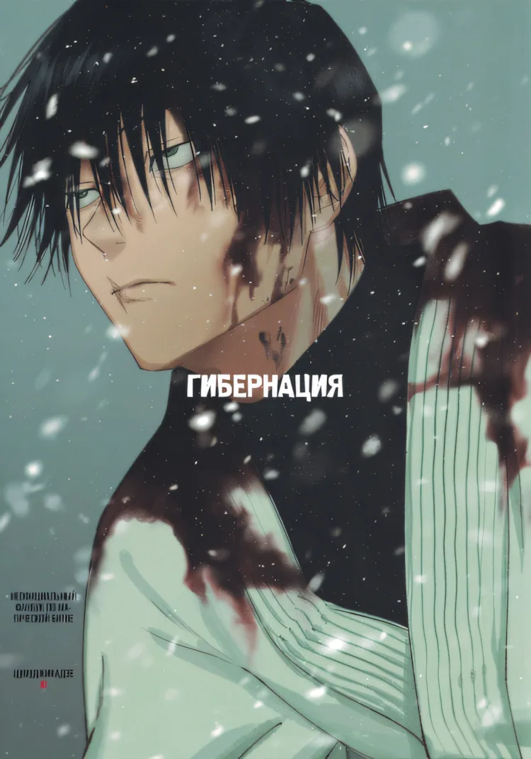 Магическая Битва — Гибернация