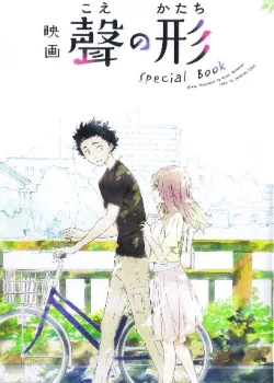 Форма голоса, специальная книга