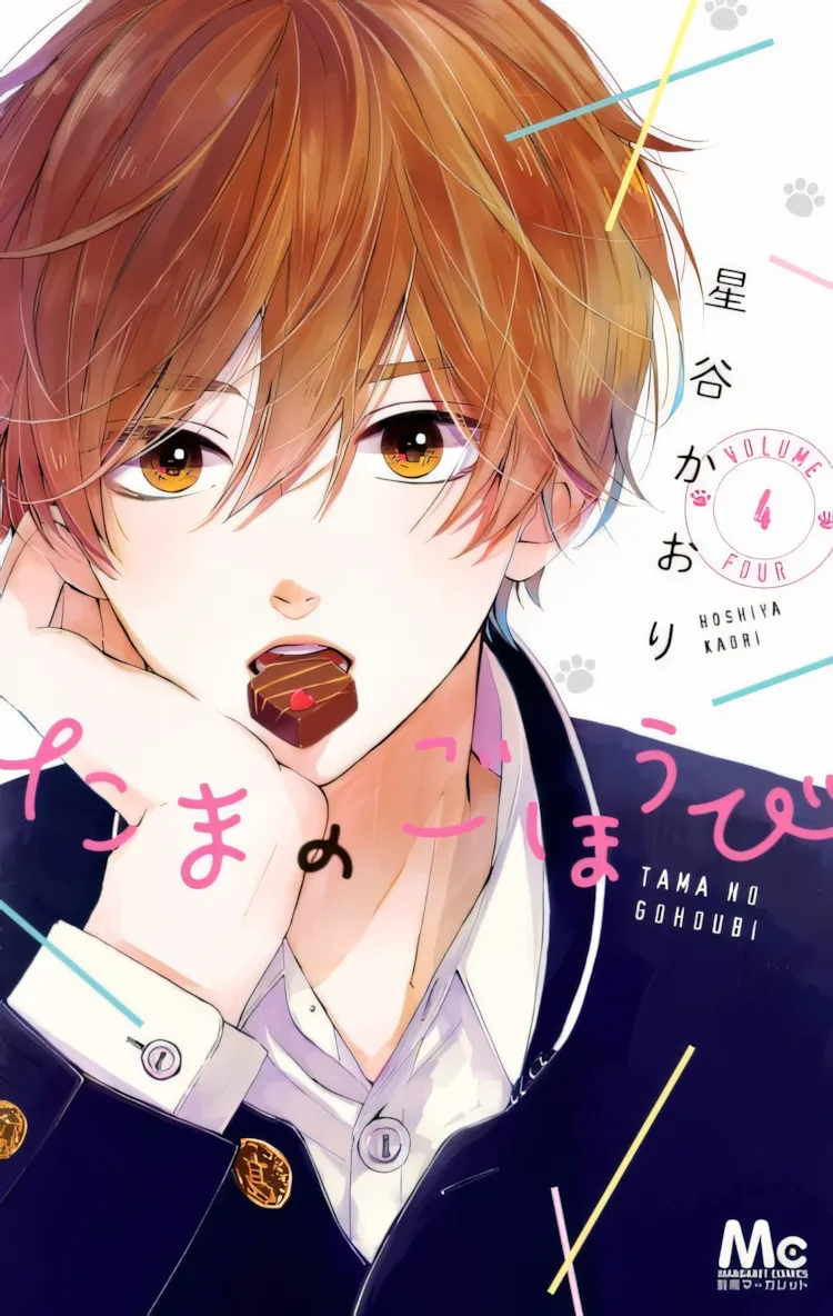 Мой проводник