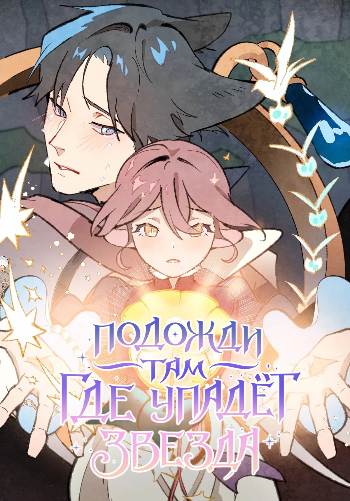 Подожди там, где упадёт звезда